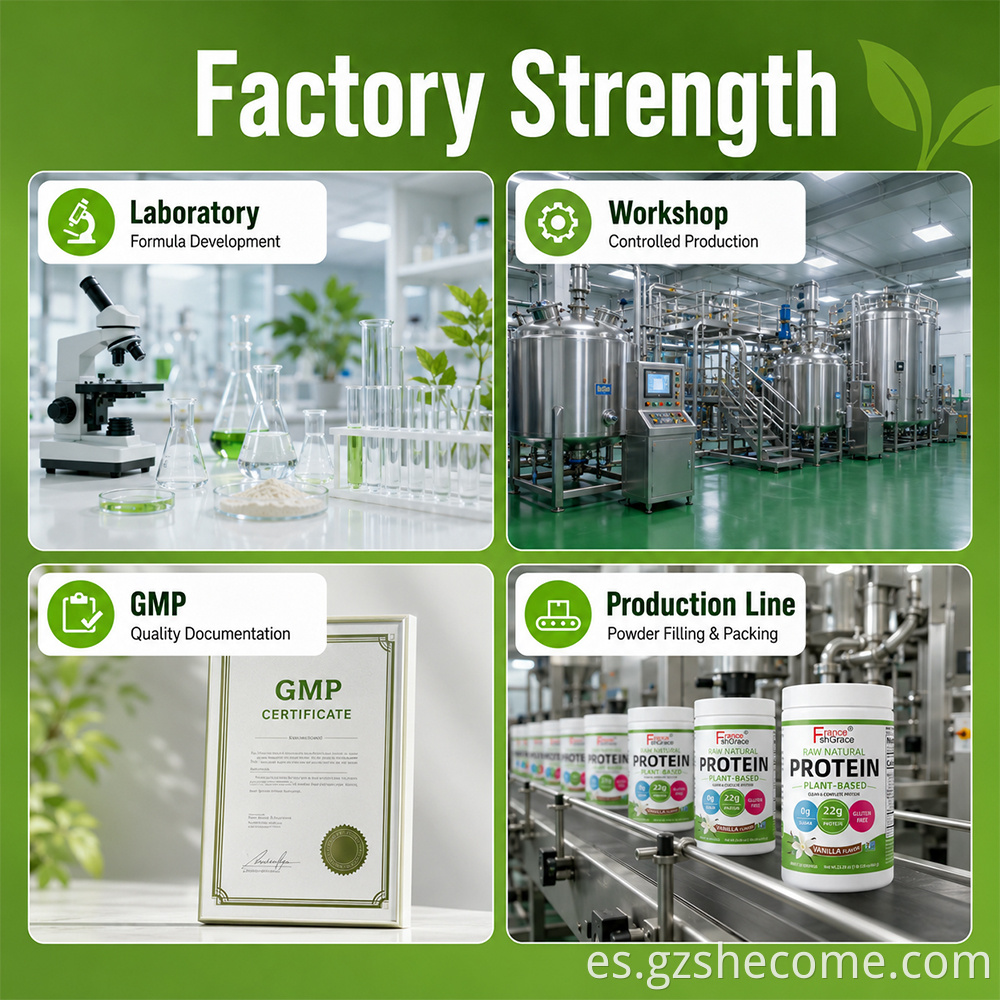 Plant Protein Powder10
